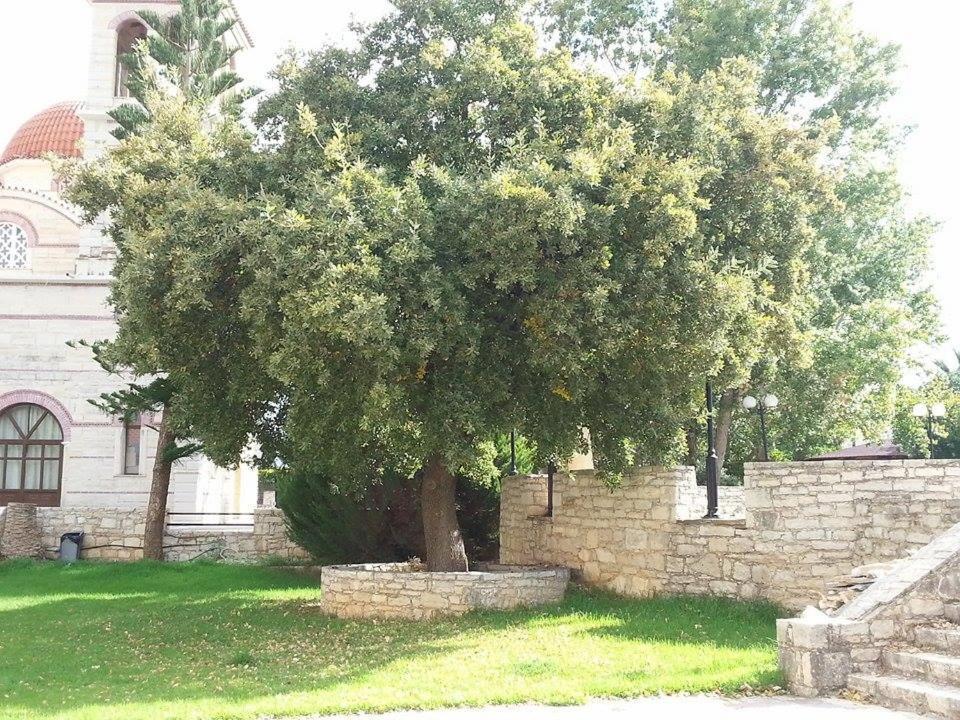 Villa Lale'S House Garazo Esterno foto